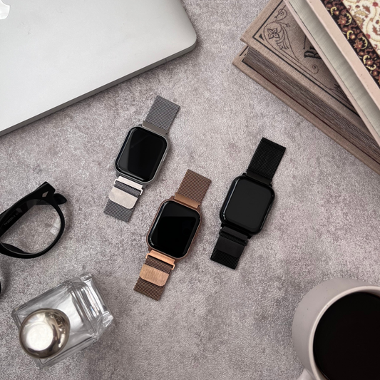 【EE02&EE02 Plus対応】ステンレスメッシュベルト 付け替えベルト22mm