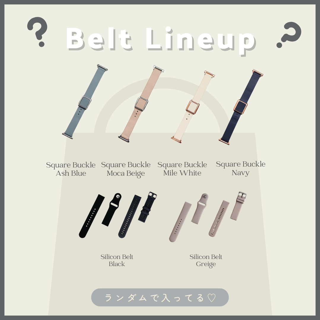 【EE02&02Plus対応】新春 ベルトセット福袋 B