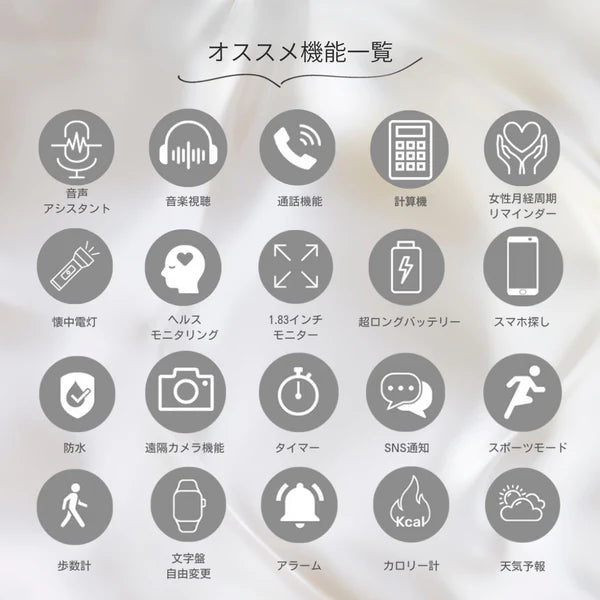 【クリスマスセット】EE02Plus ブラックステンレスメッシュベルト＋レザーマグネットベルトBlack＋保護フィルム