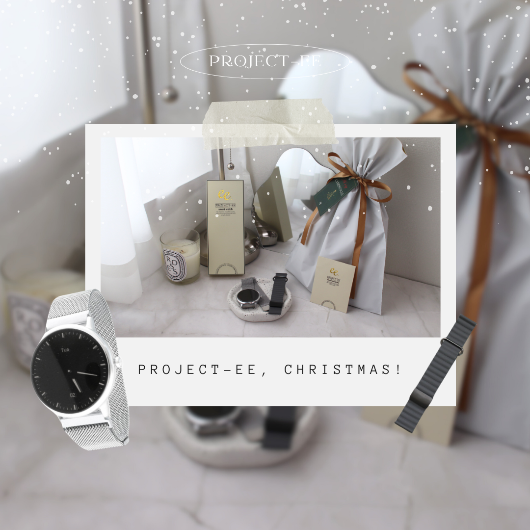 【クリスマスセット】EE02Plus シルバーステンレスメッシュベルト＋レザーマグネットベルトGray＋保護フィルム