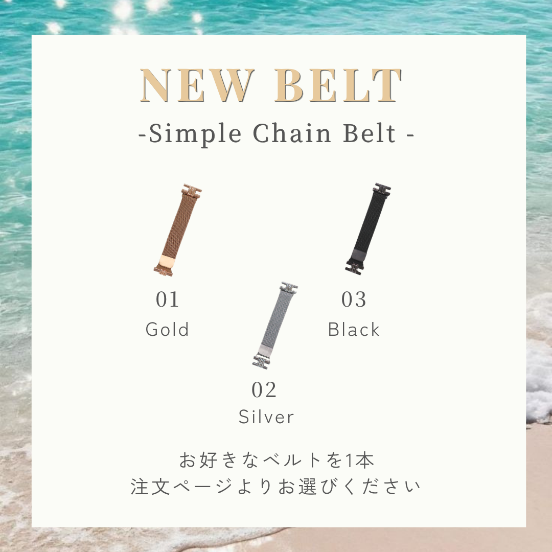 【Summer Campaign】EE02Plusシルバーステンレスメッシュベルト＋新作限定ベルト(選択可能)