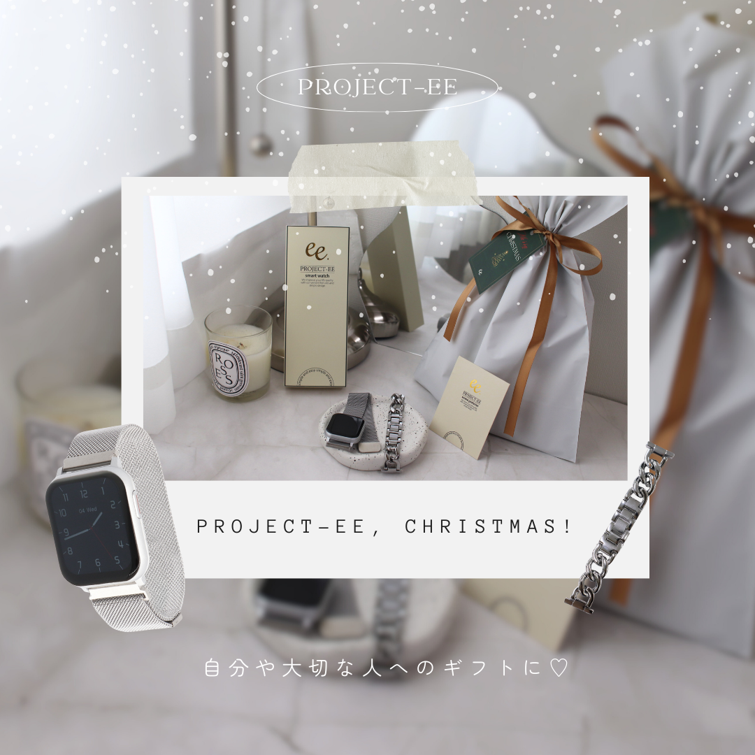 【クリスマスセット】EE02 シルバーステンレスメッシュベルト＋アクセサリーチェーンベルトSilver＋保護フィルム