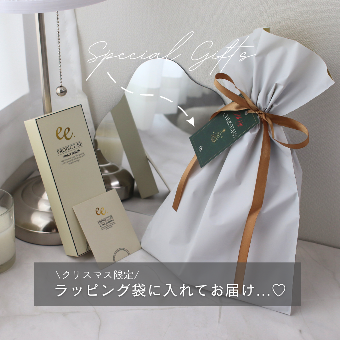 【クリスマスセット】EE02Plus ブラックステンレスメッシュベルト＋レザーマグネットベルトBlack＋保護フィルム